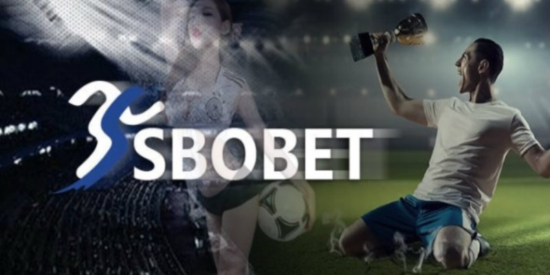 Giới thiệu sảnh cá cược thể thao Sbobet 79Sodo